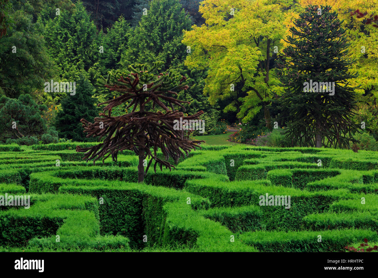 Labyrinth, VanDusen Gardens, Vancouver, Britisch-Kolumbien, Kanada, Nordamerika Stockfoto
