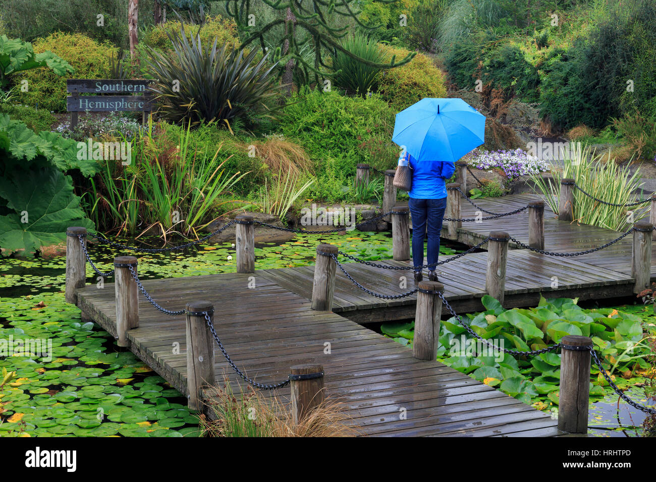 VanDusen Gardens, Vancouver, Britisch-Kolumbien, Kanada, Nordamerika Stockfoto