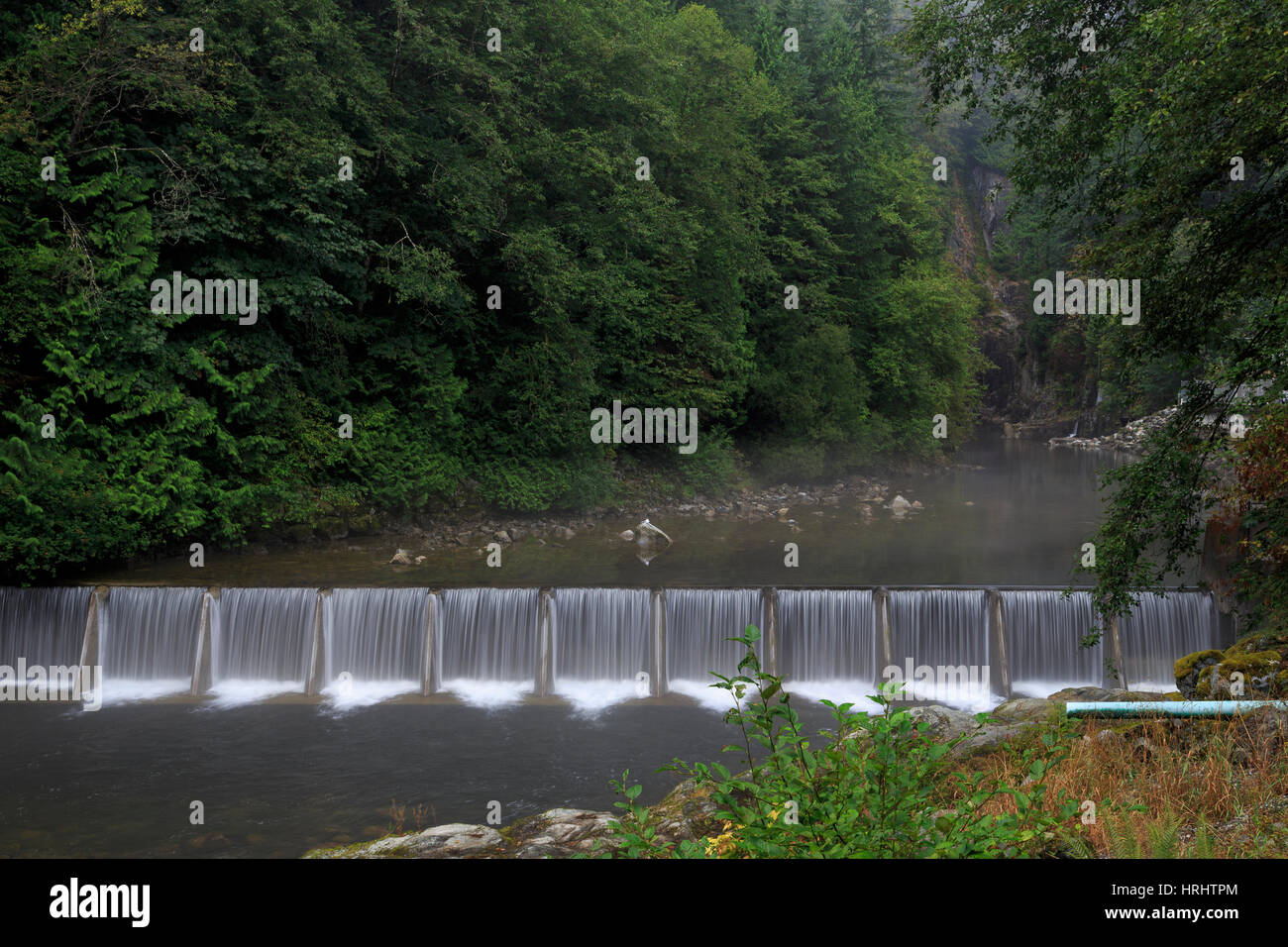 Capilano River Regional Park, Vancouver, Britisch-Kolumbien, Kanada, Nordamerika Stockfoto