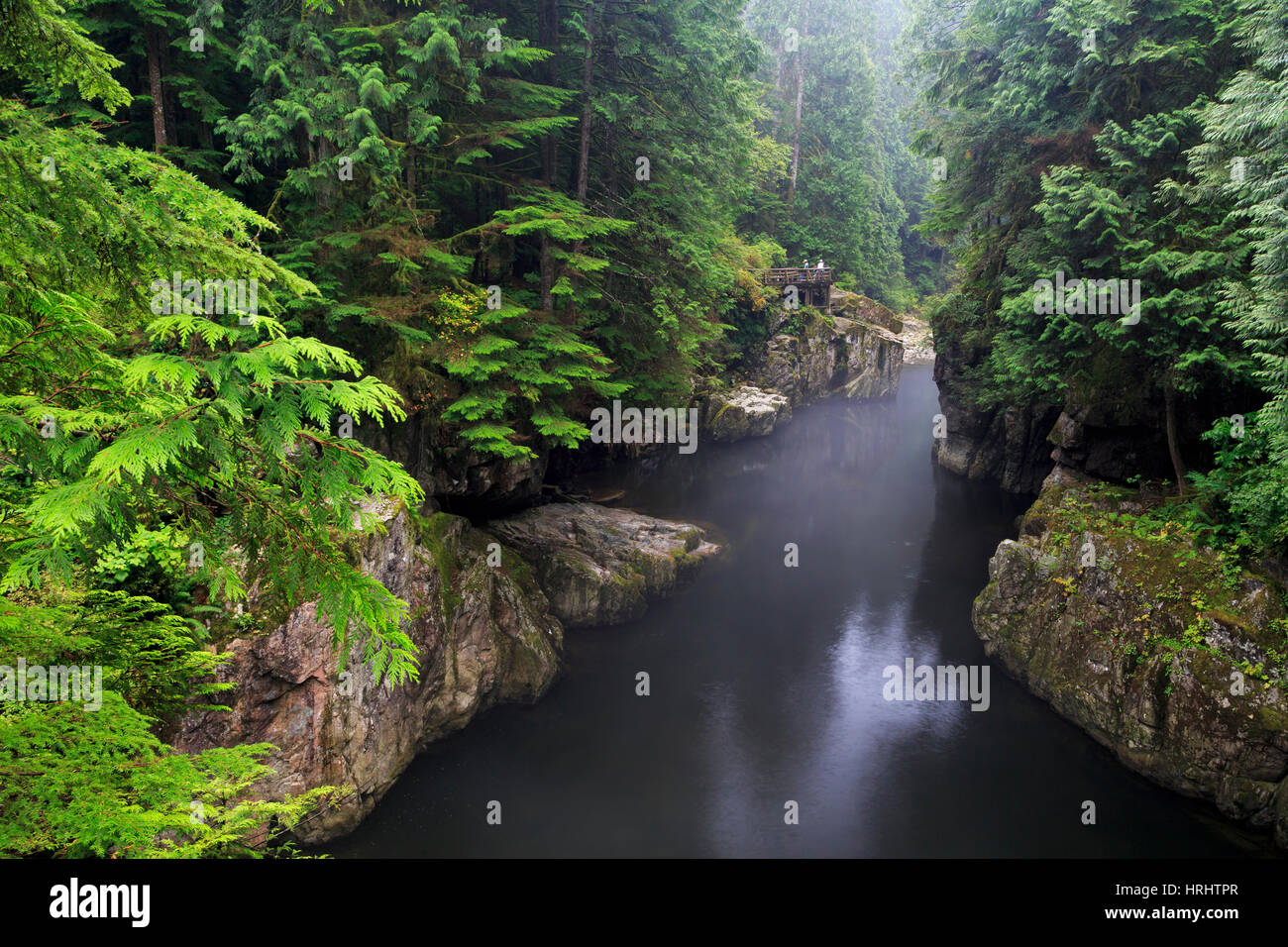 Capilano River Regional Park, Vancouver, Britisch-Kolumbien, Kanada, Nordamerika Stockfoto