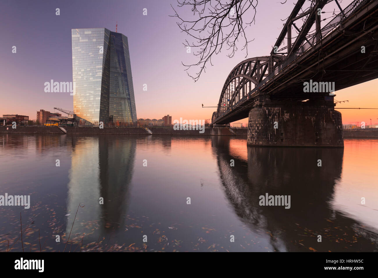 Blick über Mains, Europäische Zentralbank, Frankfurt am Main, Hessen, Deutschland Stockfoto