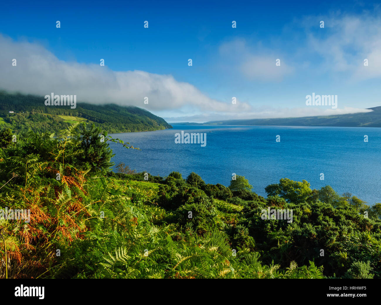 Landschaft von Loch Ness, Drumnadrochit, Highlands, Schottland, Vereinigtes Königreich Stockfoto