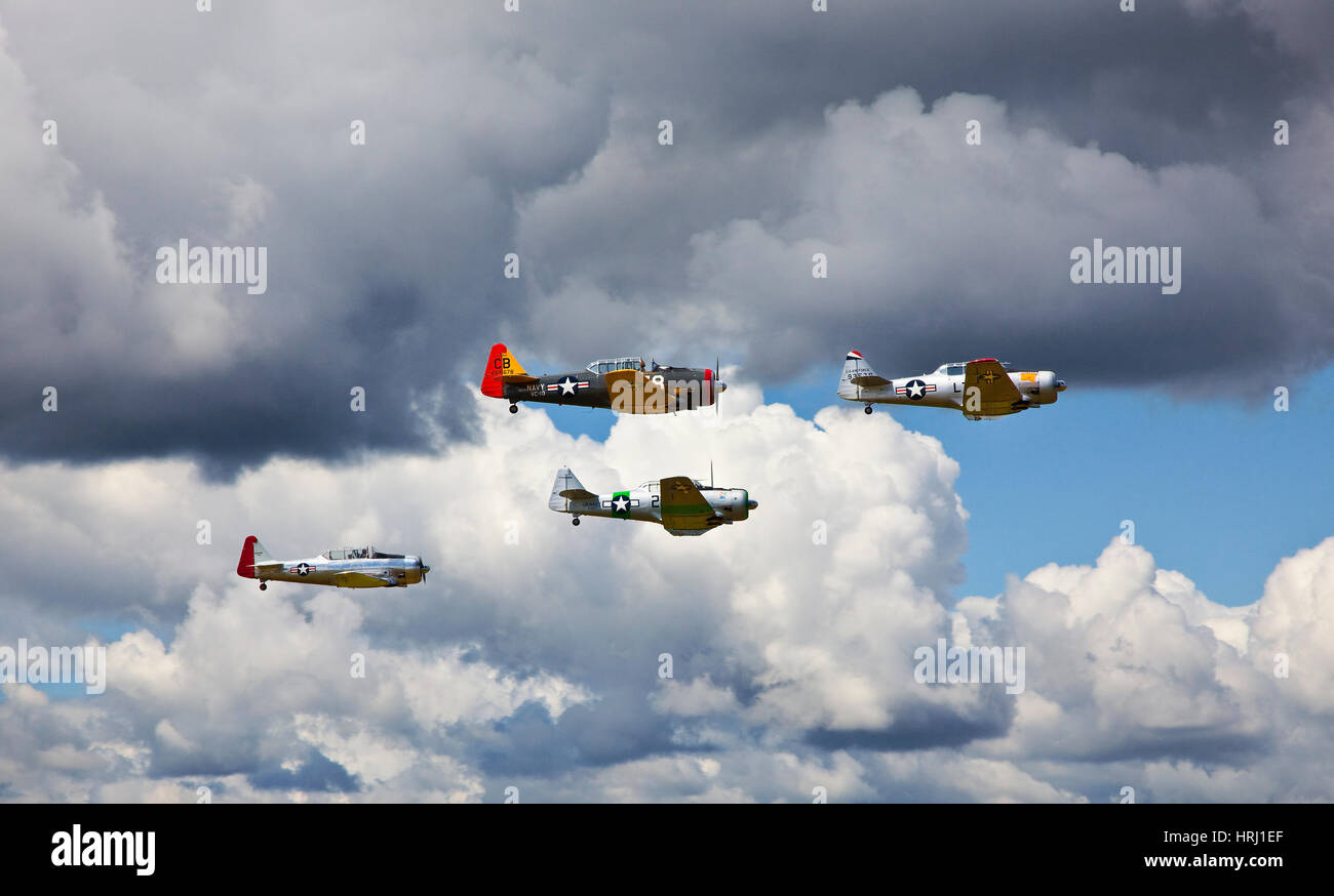 SNJ und Texan Flugzeuge Stockfoto