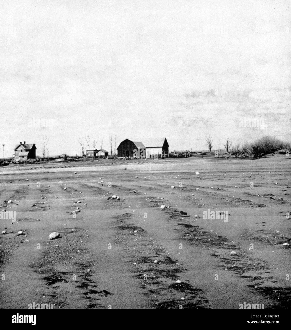 Ausgeblasen Feld in South Dakota, Dust Bowl, 1935 Stockfoto