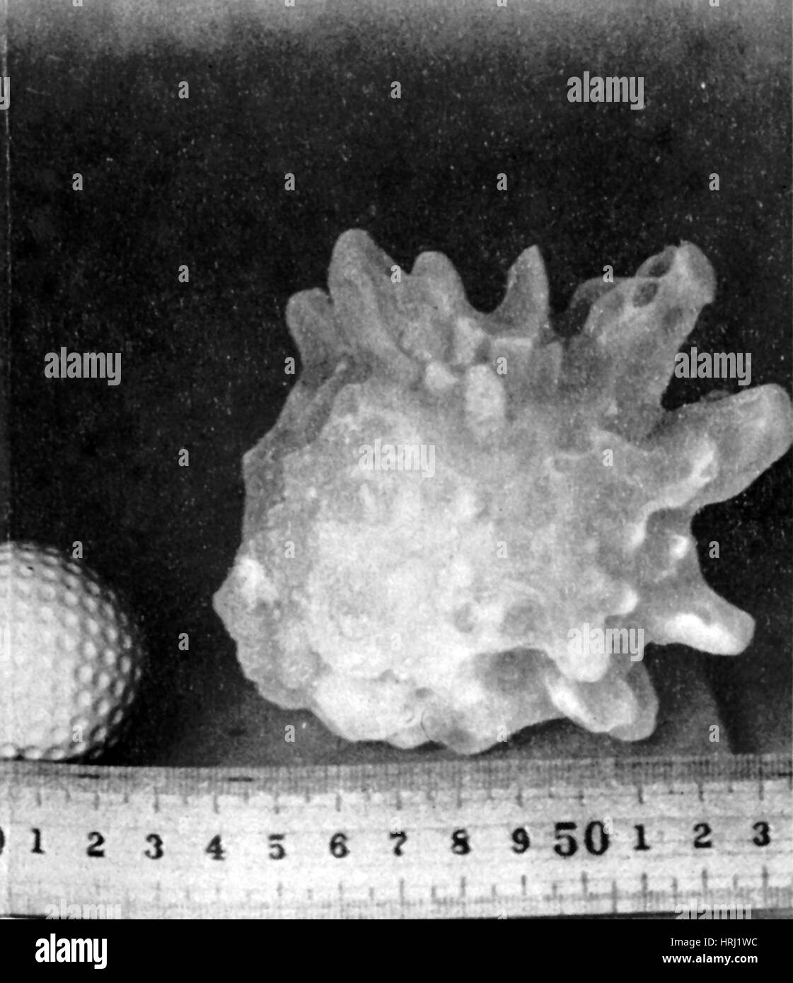 Hagelkorn, 1953 Stockfoto