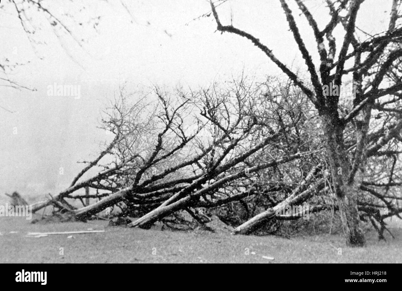 Sandsturm Schäden, 1931 Stockfoto