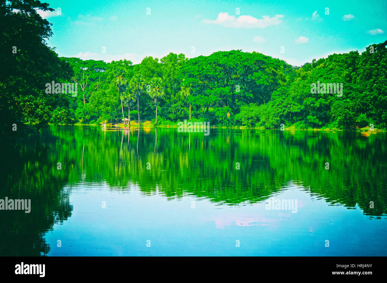 Sauberen See im grünen Frühling Sommer Wald. Sonnigen Himmel. Stockfoto