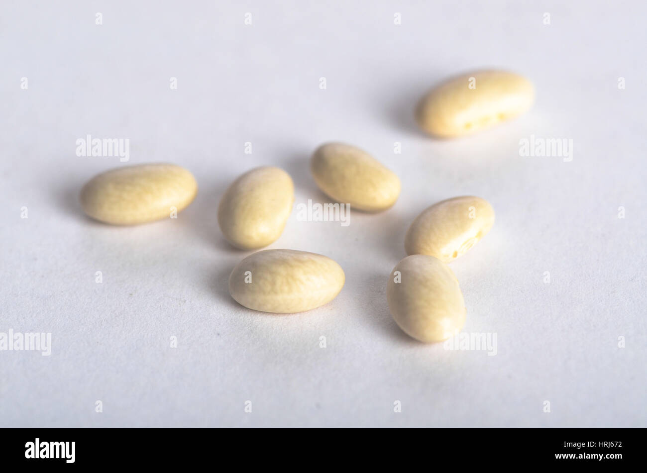 Großen nördlichen Bean Stockfoto