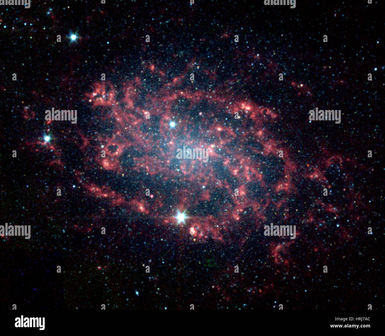 NGC 300, Caldwell 70, Spiralgalaxie Stockfoto