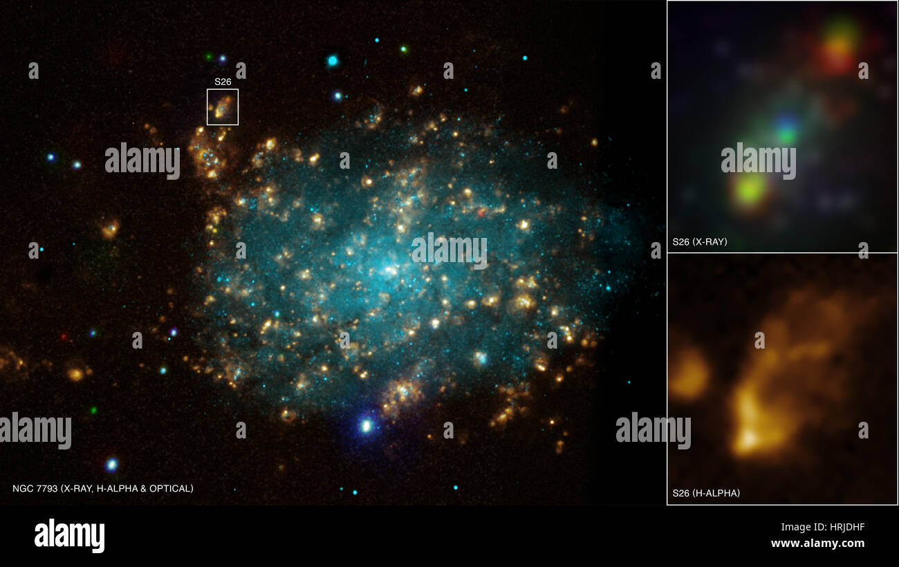 NGC 7793 mit Mikroquasar, Composite Stockfoto