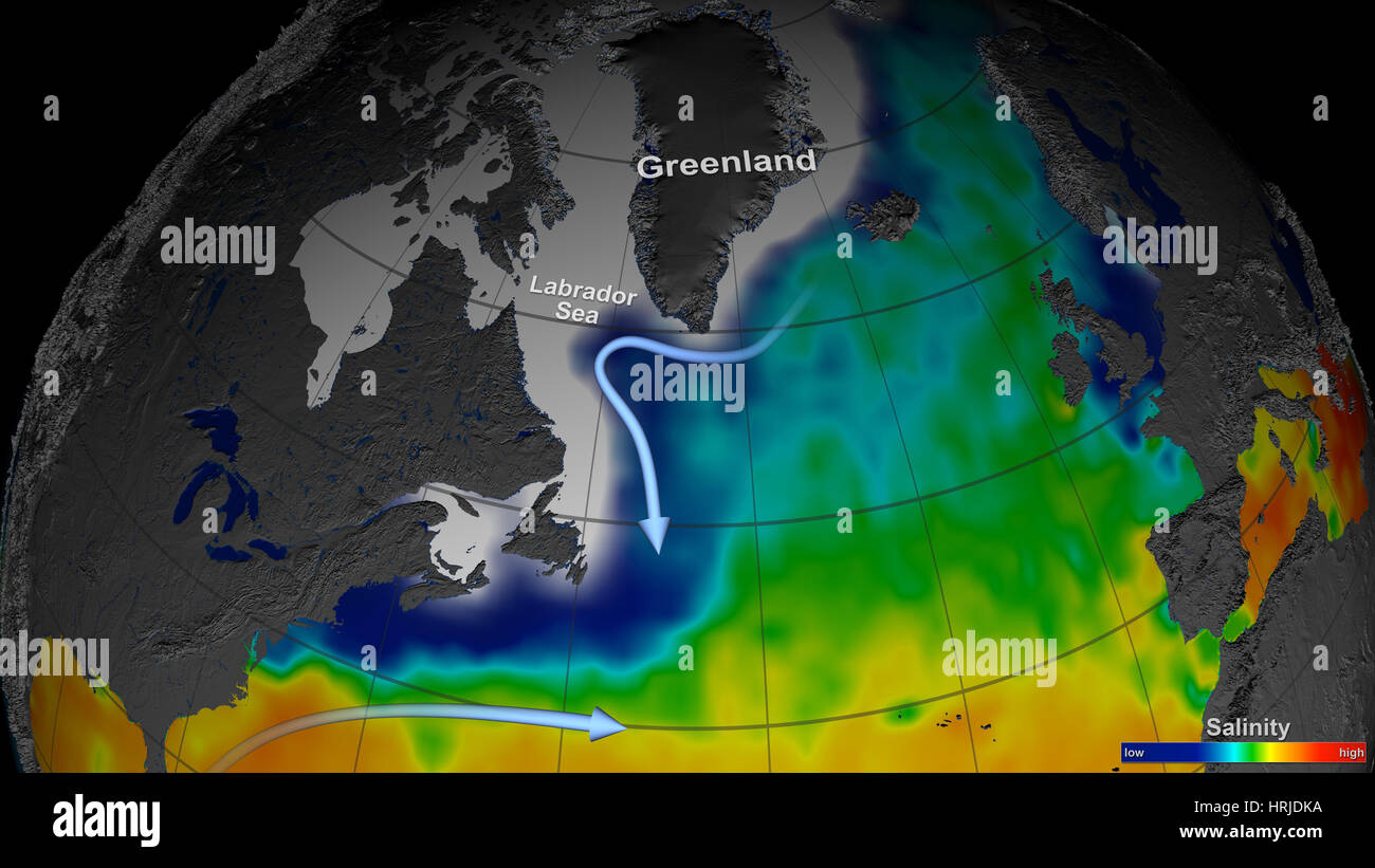 Labradorsee, globale Salzgehalt Daten 2011 Stockfoto