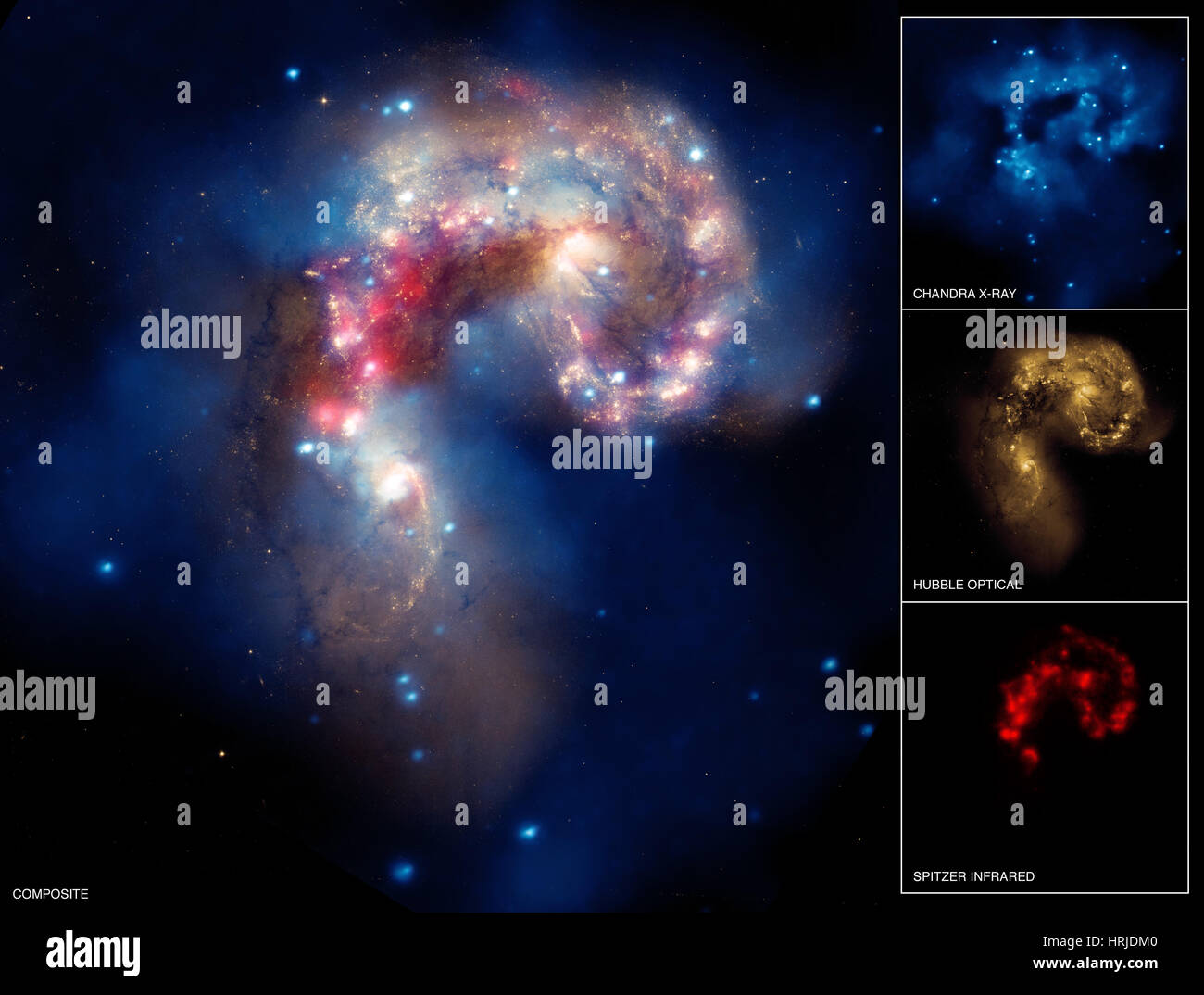 NGC 4038/NGC 4039, Antennen-Galaxien, Multi-Panel Stockfoto