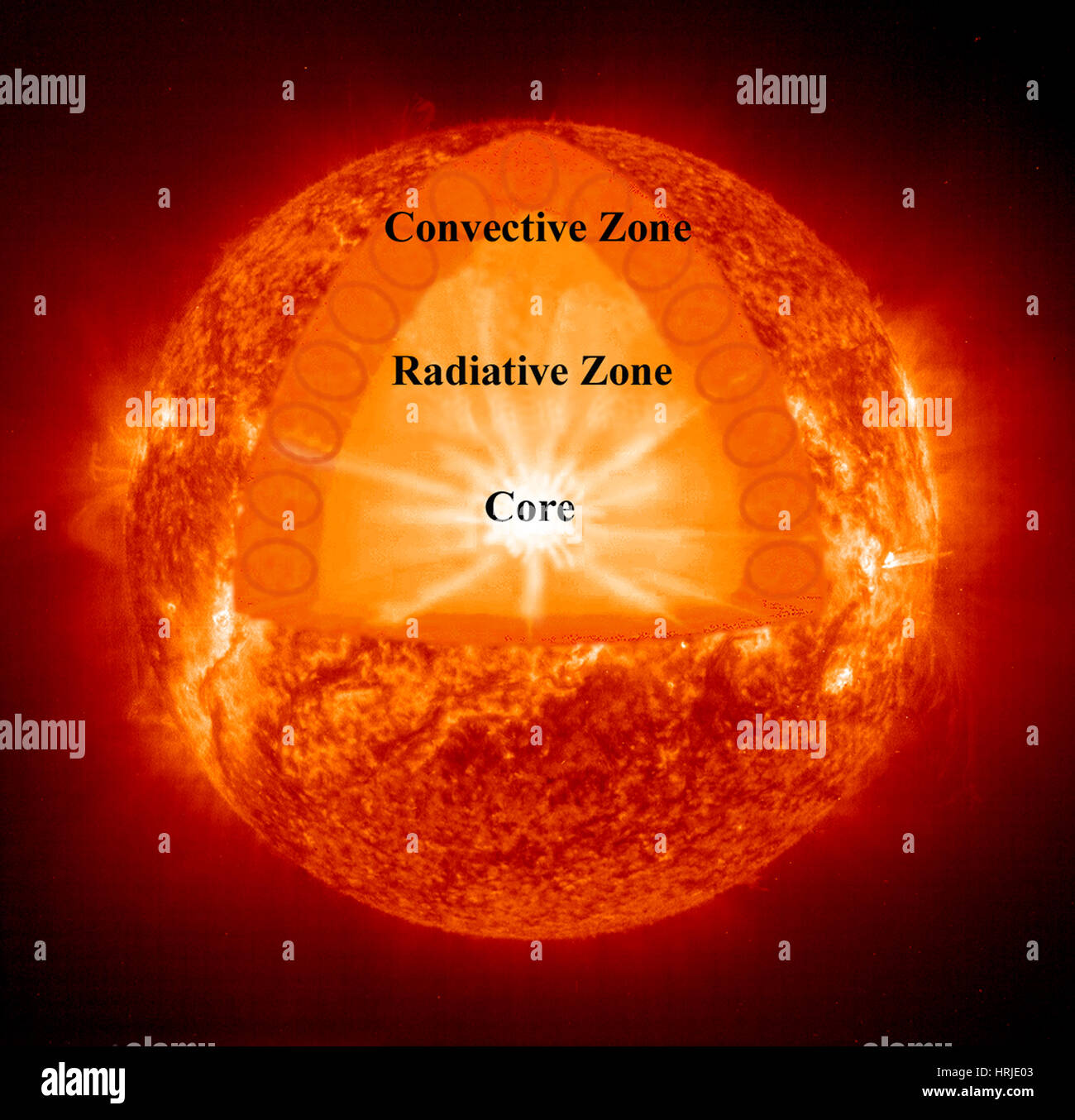 Sonne, Major Zonen der internen Struktur, ETI Stockfoto