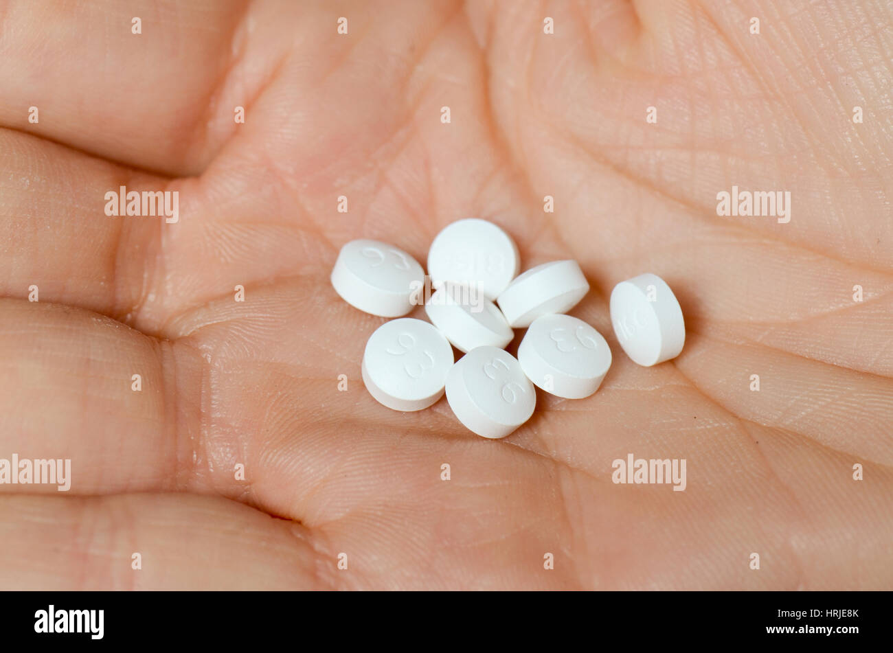Ketipinor -Fotos und -Bildmaterial in hoher Auflösung – Alamy