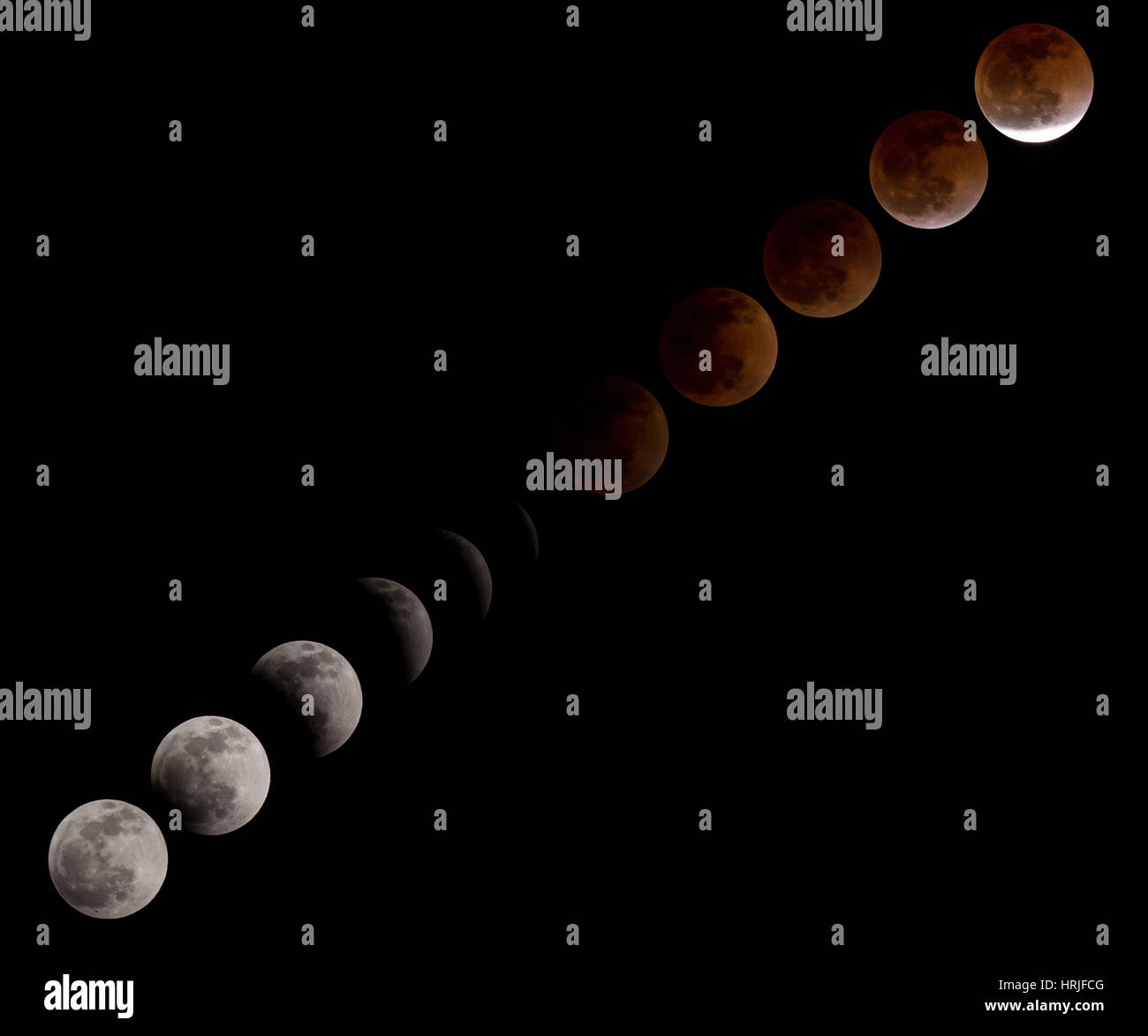 Lunar Eclipse 2014 Stockfoto