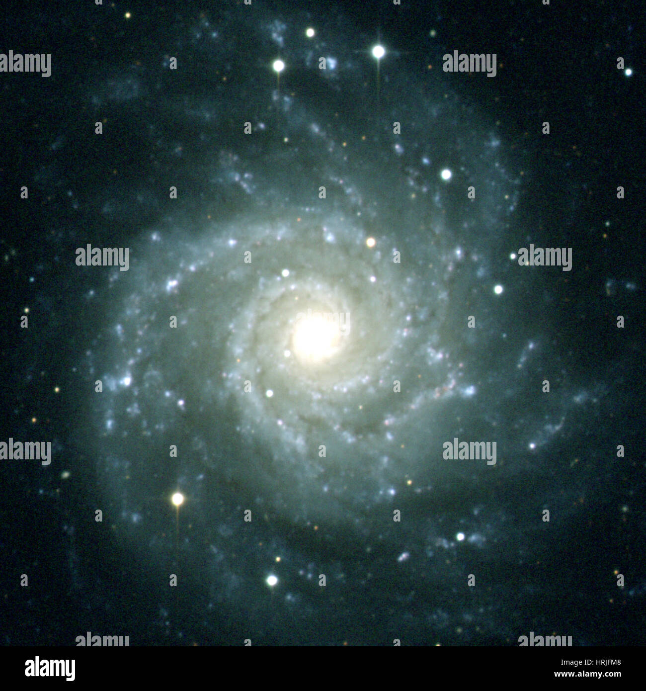 Galaxie M74, NGC 628, optische Stockfoto