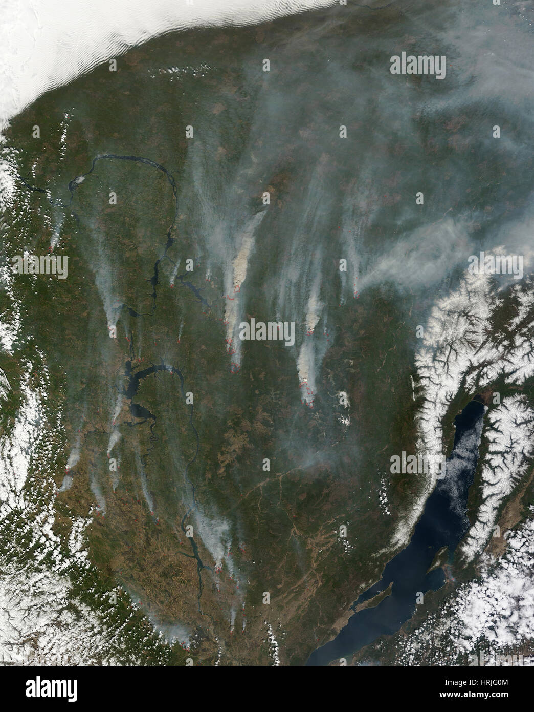 Waldbrände, Irkutsk, Russland, 2014 Stockfoto
