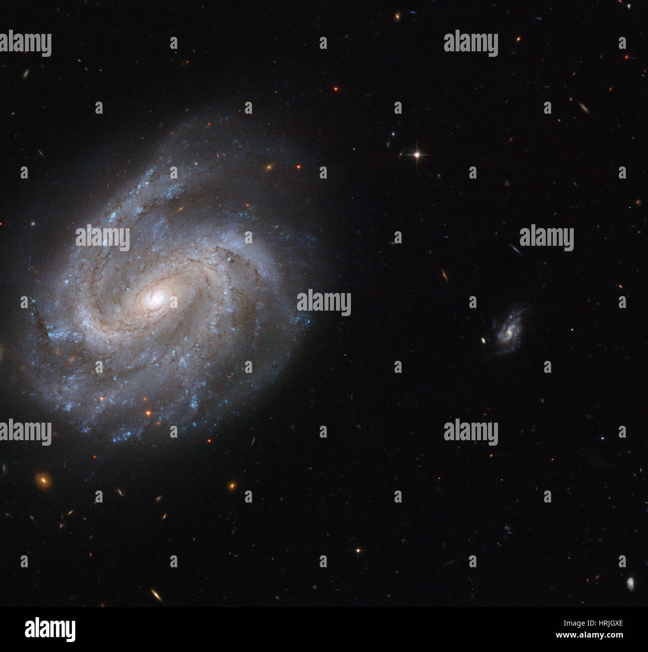 Vergitterten Spiralgalaxie NGC 201 Stockfoto