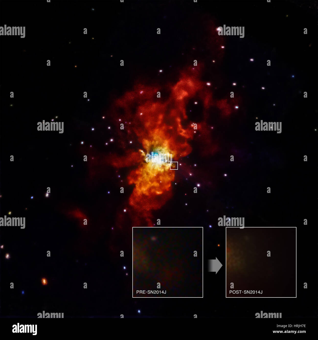 Starburst Galaxie M82 Stockfoto