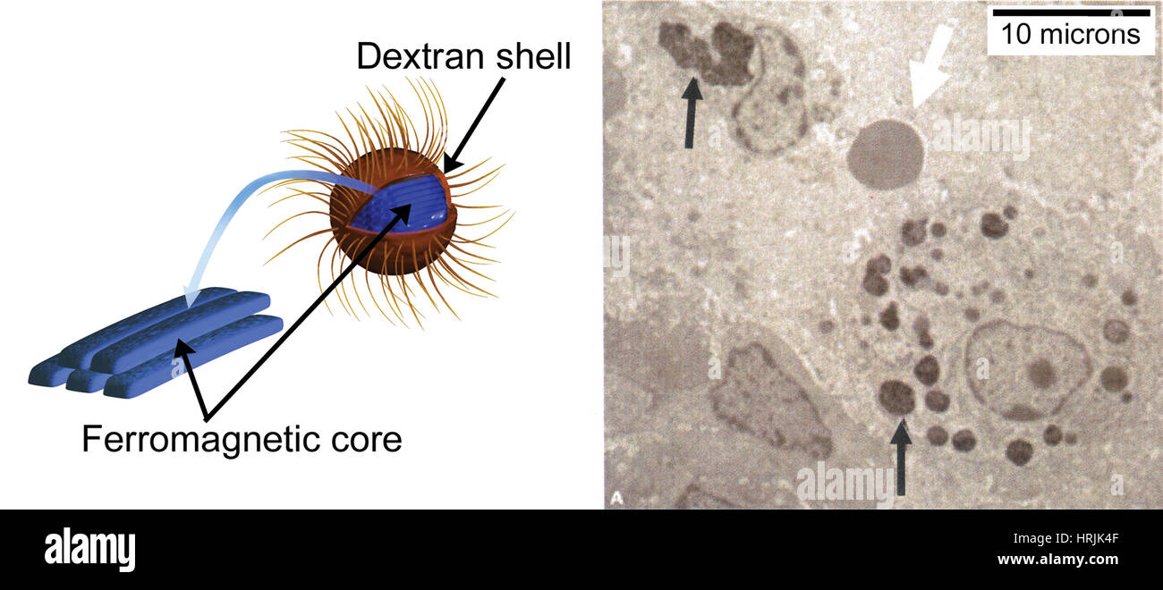 Nanopartikel, Medizin Stockfoto