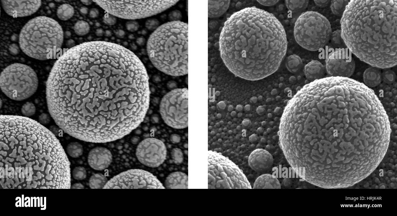 Goldatome, SEM vs. SHIM Stockfoto