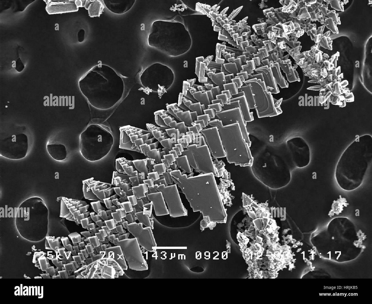 Magnesium-Nanopartikel, SEM Stockfoto