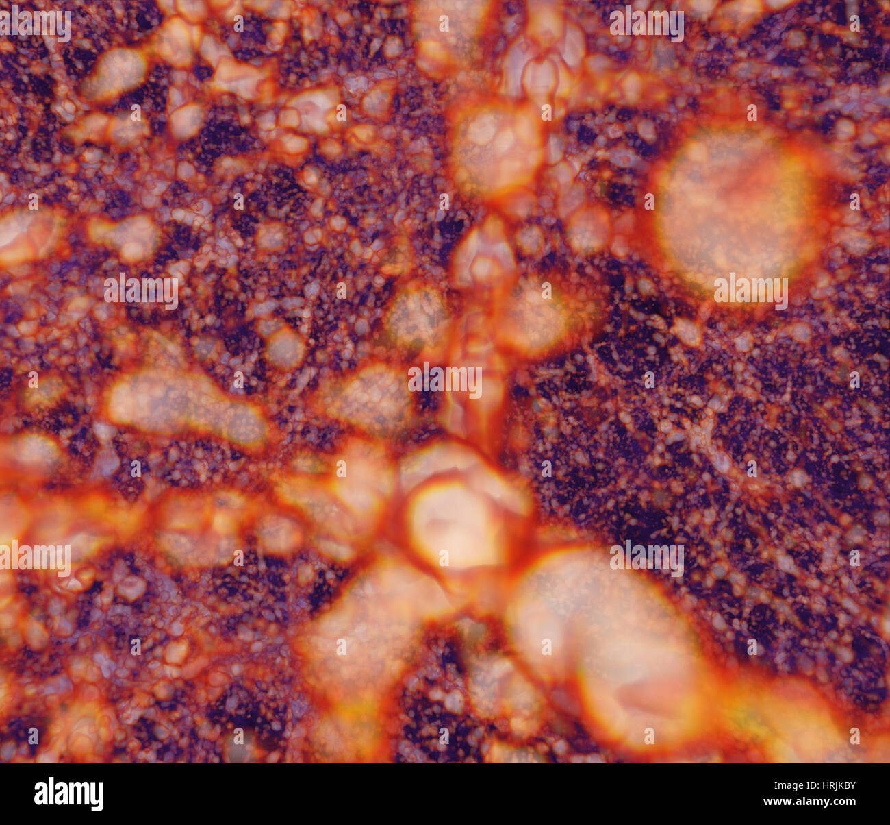 Kosmische Netz, Verteilung der Materie Stockfoto