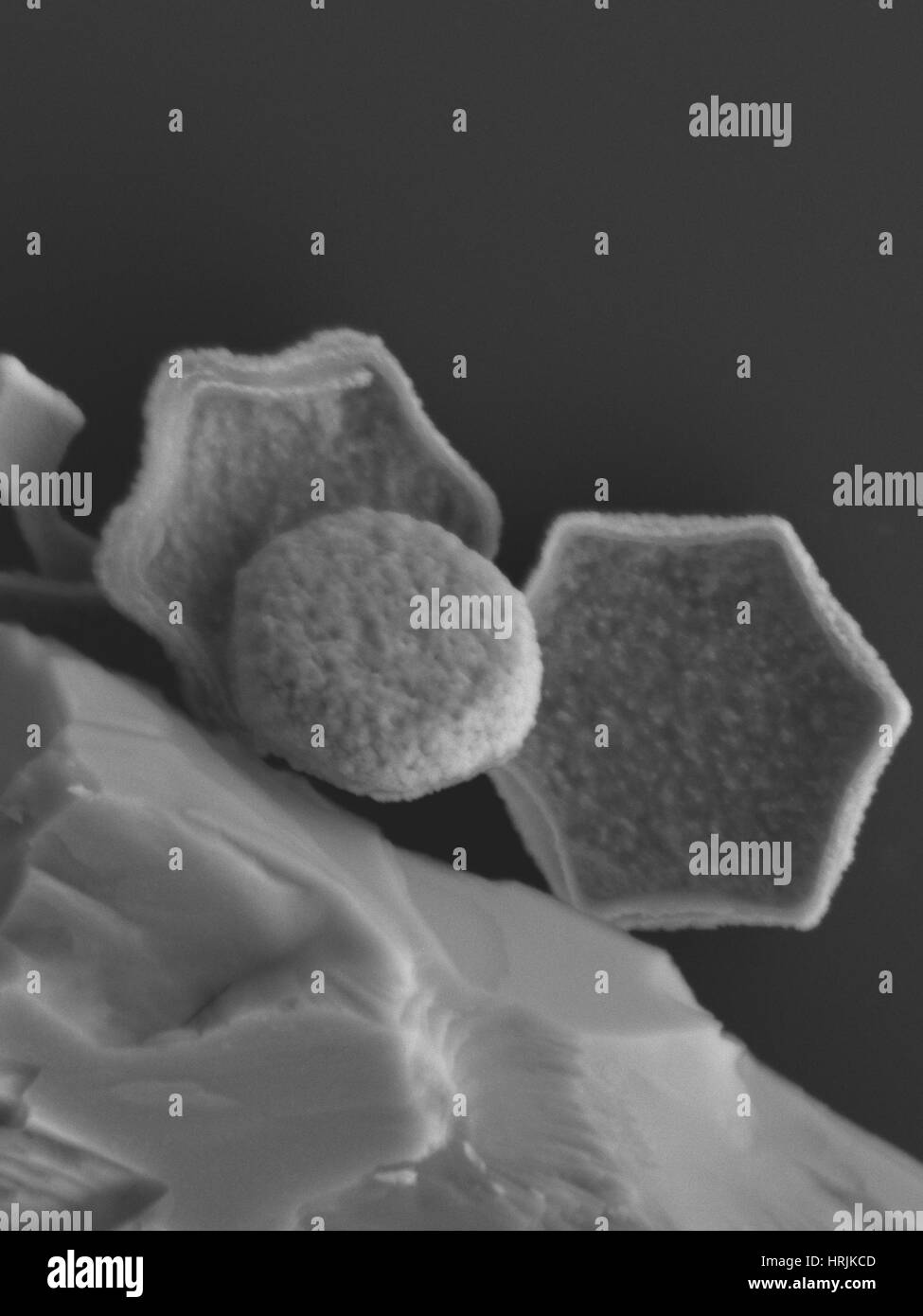 Magnetische Nanopartikel, SEM Stockfoto