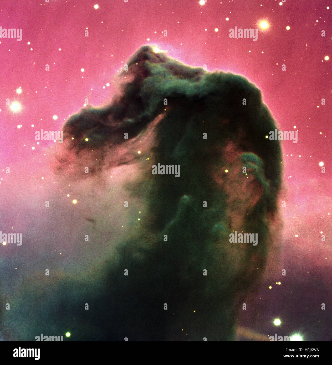 Pferdekopf-Nebel, Barnard 33, B33 Stockfoto