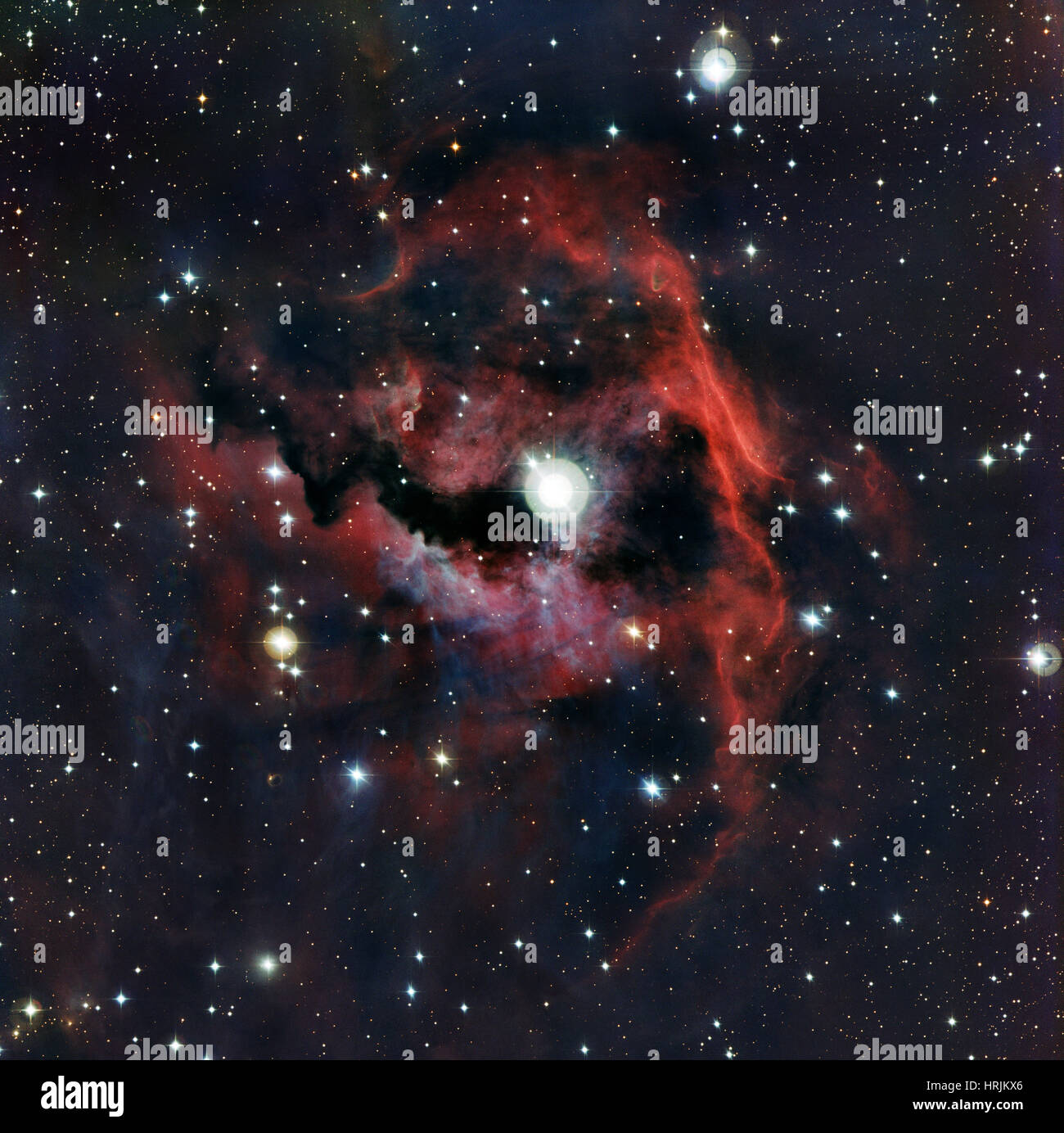 Möwe-Nebel, IC 2177 Stockfoto