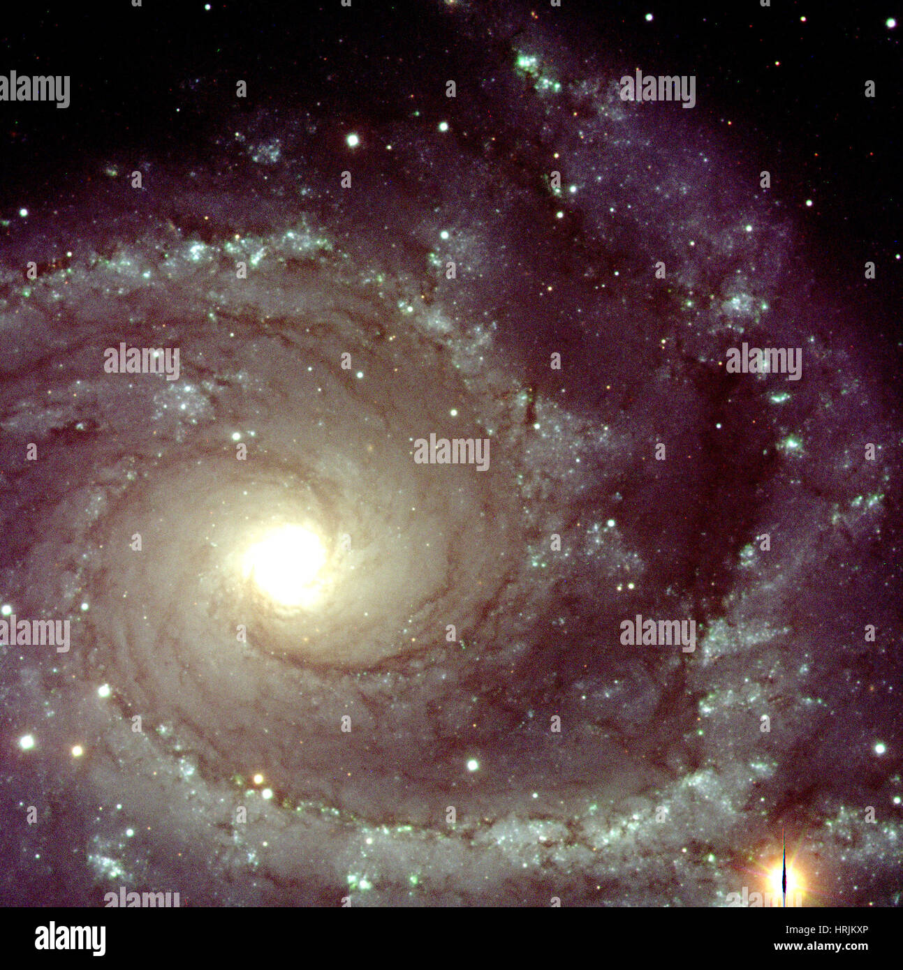Bezeichnung Spiralgalaxie NGC 2997 Stockfoto