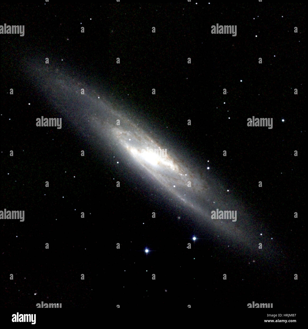 Bildhauer-Galaxie NGC 253, Caldwell 65 Stockfoto