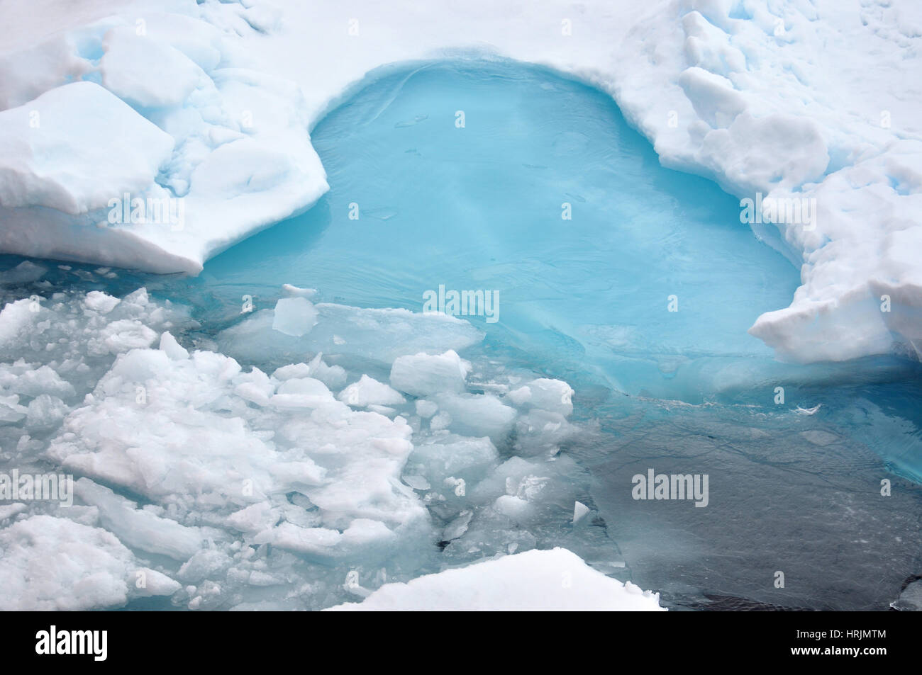 Blue Ice, USCG Arktis-Expedition 2009 Stockfoto