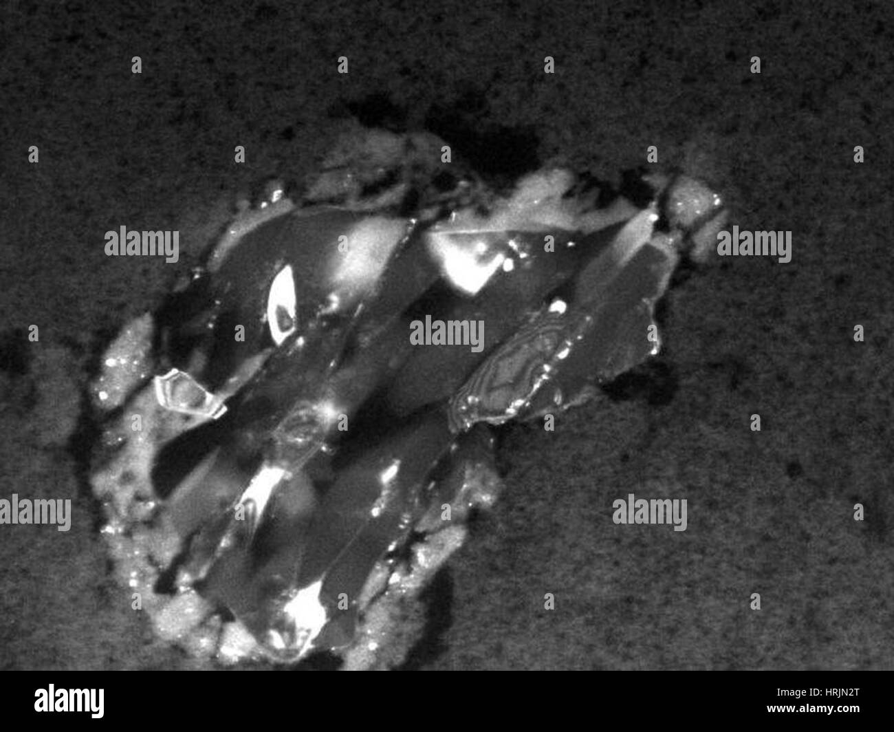 Komet-Partikel von Stardust Raumfahrzeug gesammelt Stockfoto