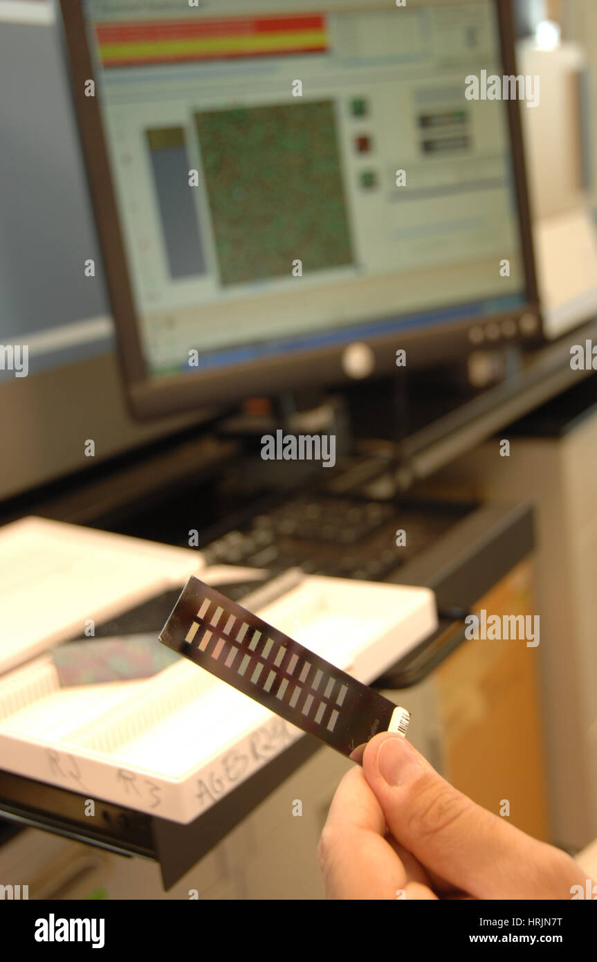 Dna biochip -Fotos und -Bildmaterial in hoher Auflösung – Alamy