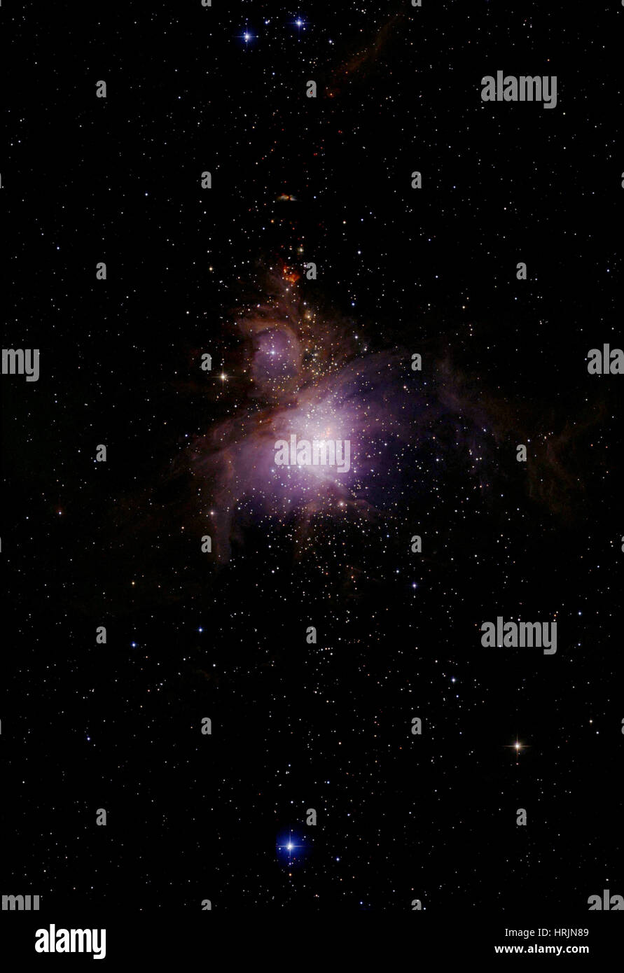 Orion-Nebel, M42, NGC 1976 Stockfoto