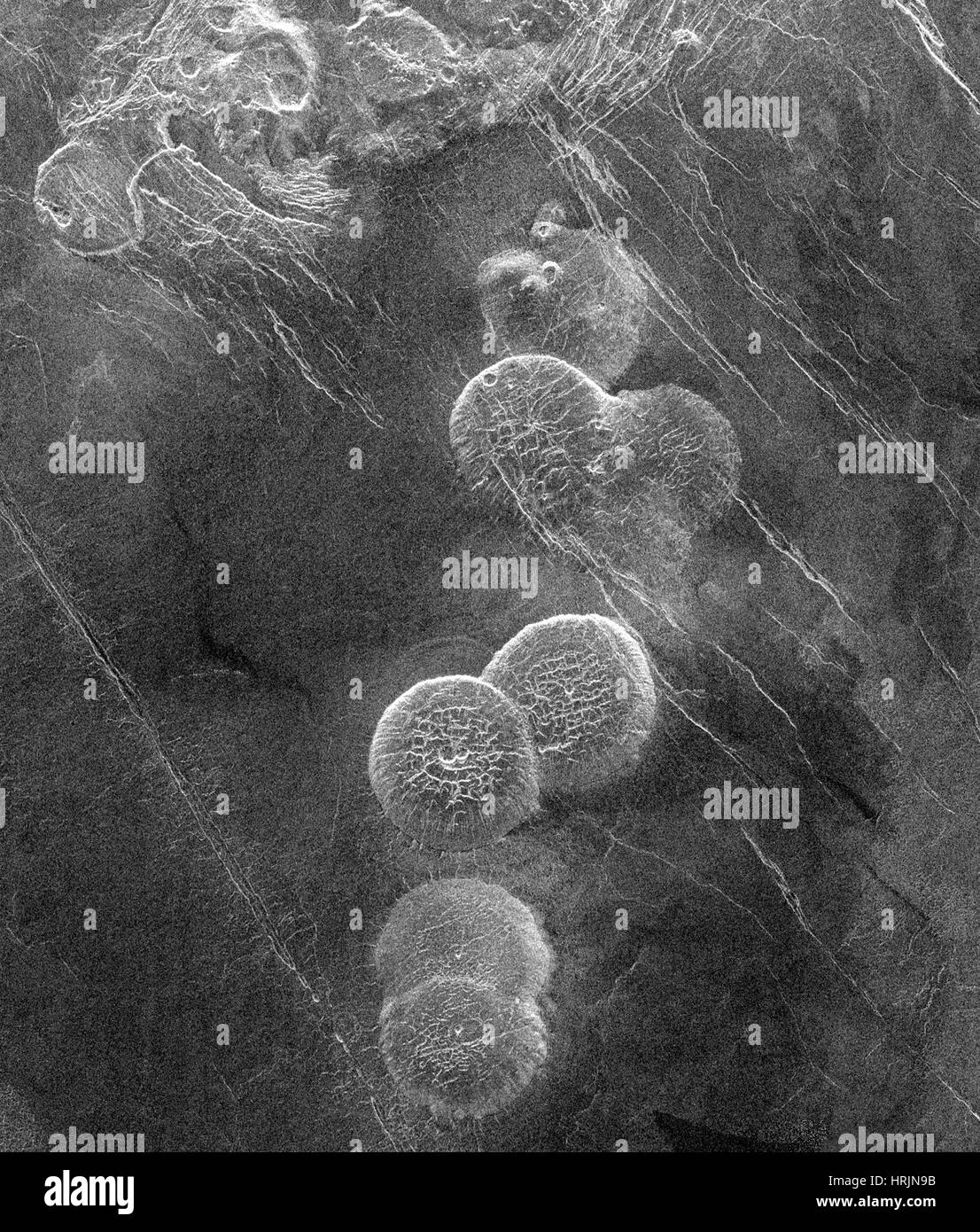 Venus, Alpha Regio, Vulkan Kuppeln Stockfoto