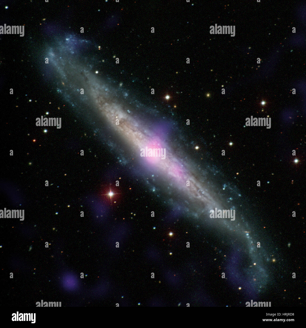 Galaxie NGC 1448 Stockfoto