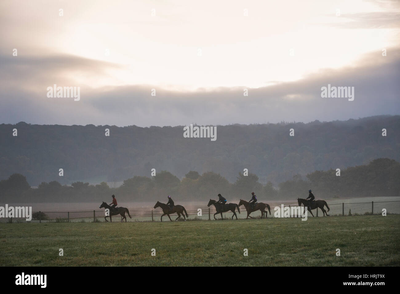 Gruppe von fünf Personen auf Pferden reiten in einem Feld unter einem Himmel mit Sonne und Wolken. Rennpferde auf die Galoppaden. Stockfoto