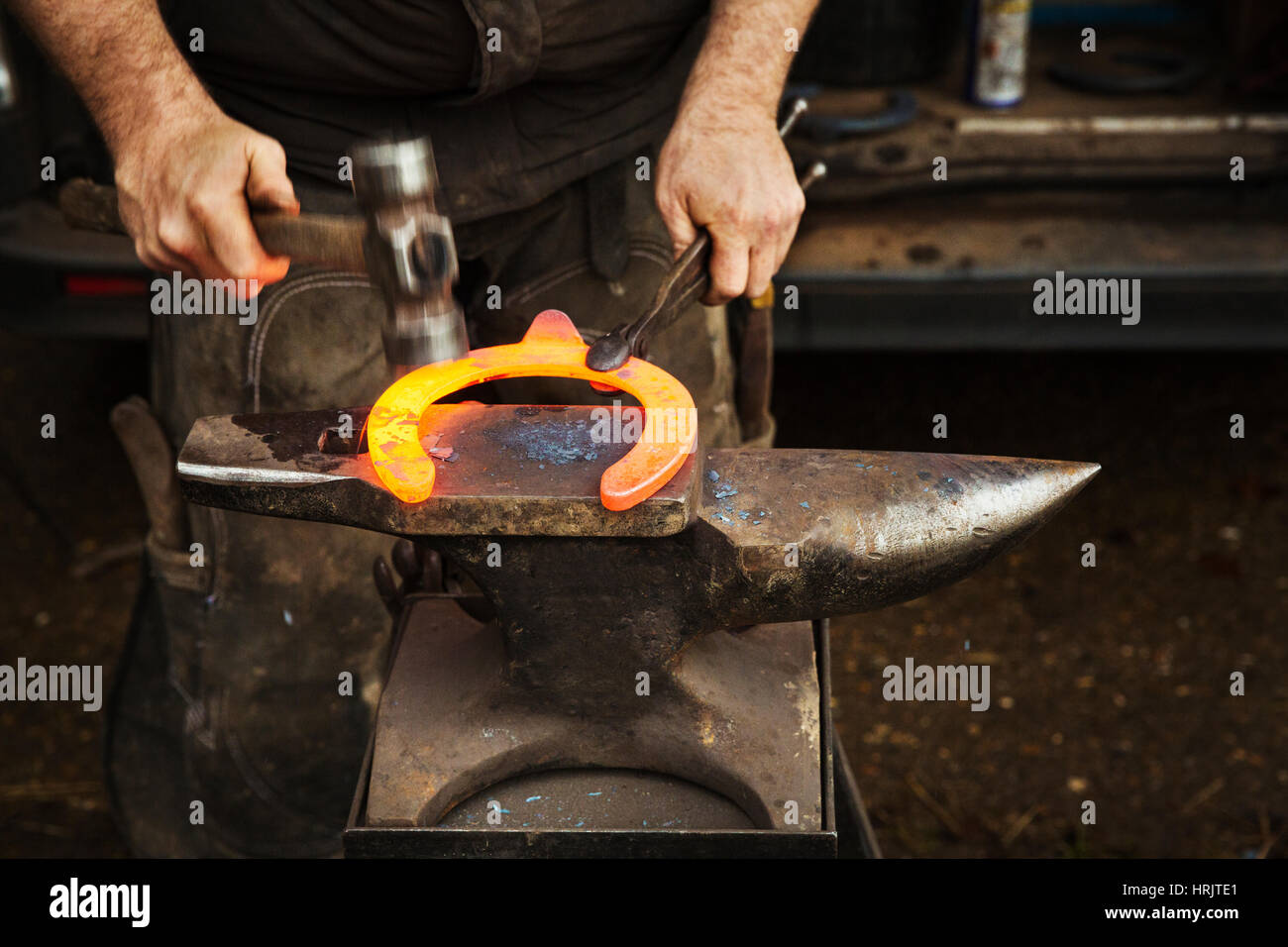 Ein Hufschmied mit Zange und Hammer zu halten und zu gestalten, ein rotes Glühen erhitzt Metall Hufeisen angebracht werden. Stockfoto