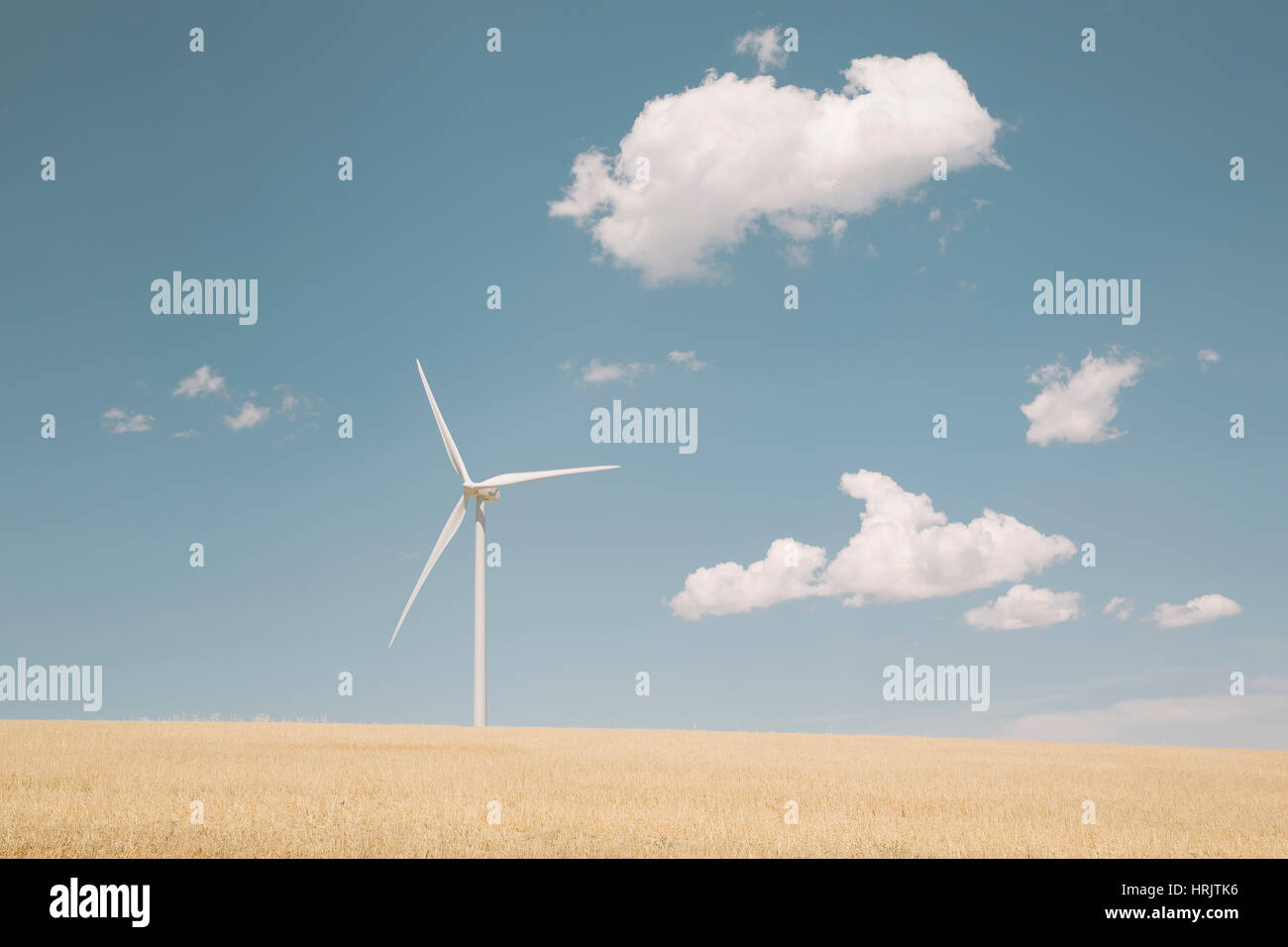 Eine Windkraftanlage in einer Wüstenlandschaft gegen blauen Himmel. Stockfoto