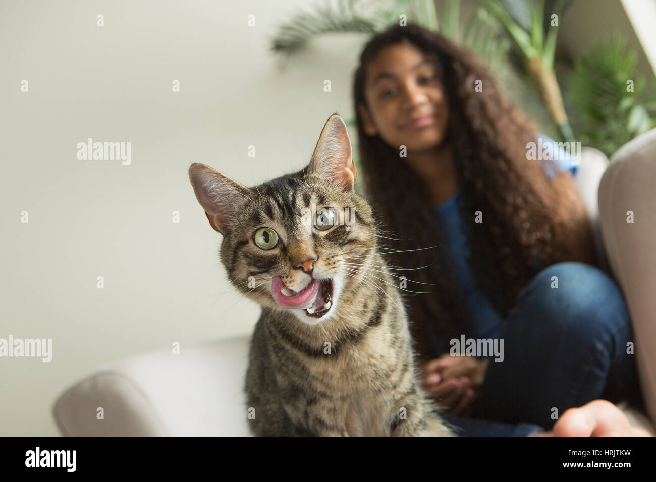 Ein Mädchen sitzt auf dem Sofa mit einem Haustier Katze. Stockfoto