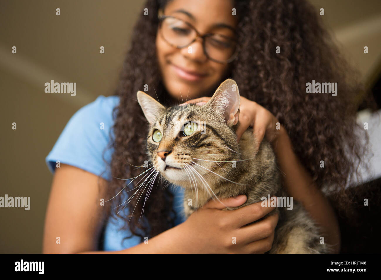 Ein Mädchen mit einem Haustier Katze auf dem Schoß. Stockfoto