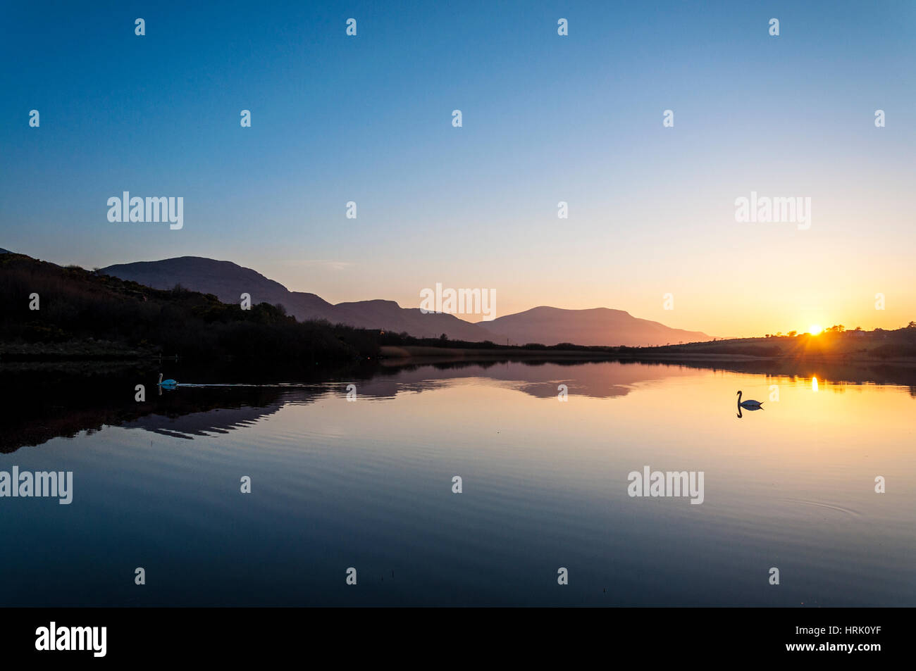 Ruhig noch ruhigen See mit Schwänen bei Sonnenuntergang Stockfoto