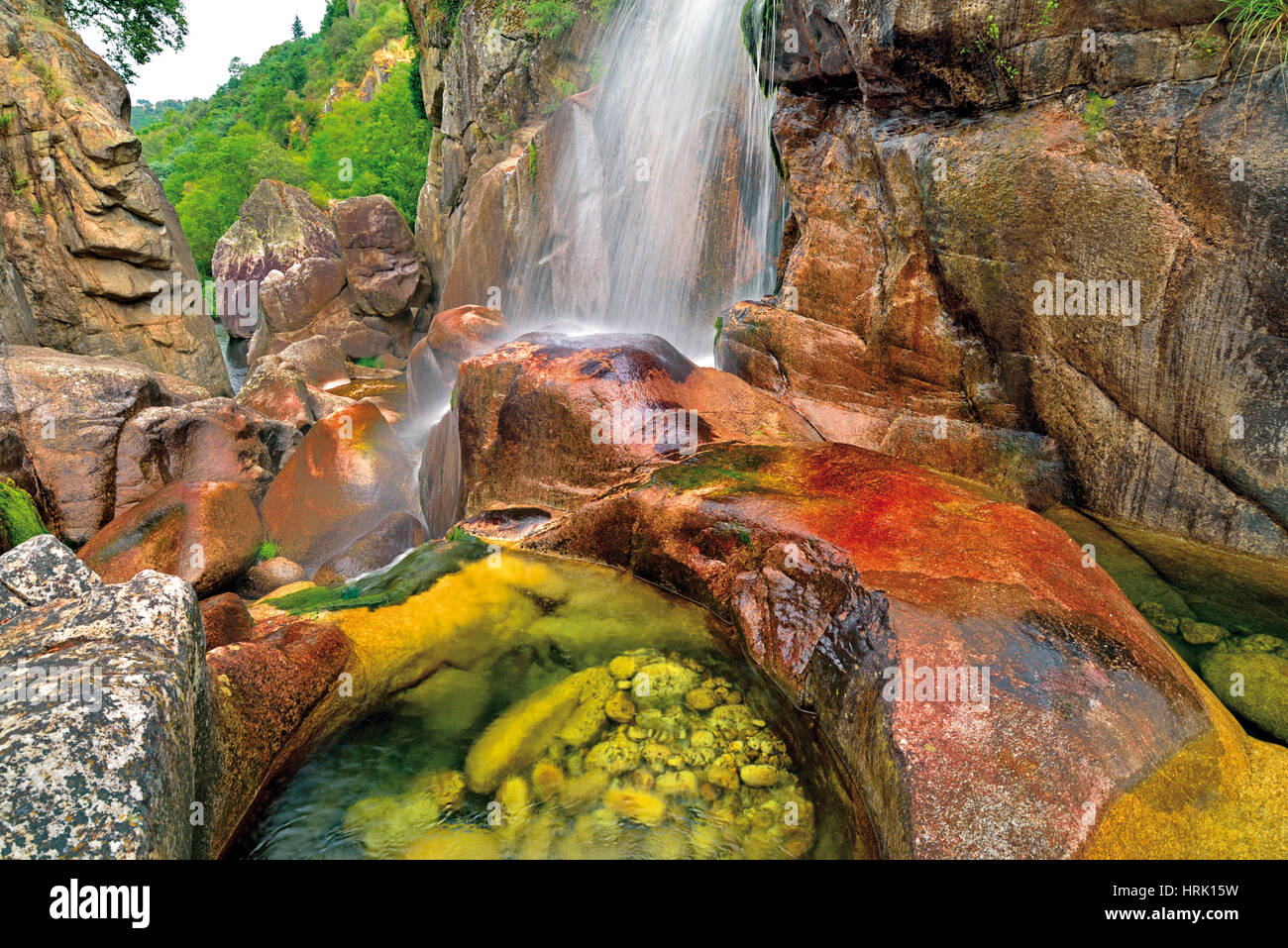 Wilde Schlucht und Wasserfall mit kristallklarem Bergwasser Stockfoto