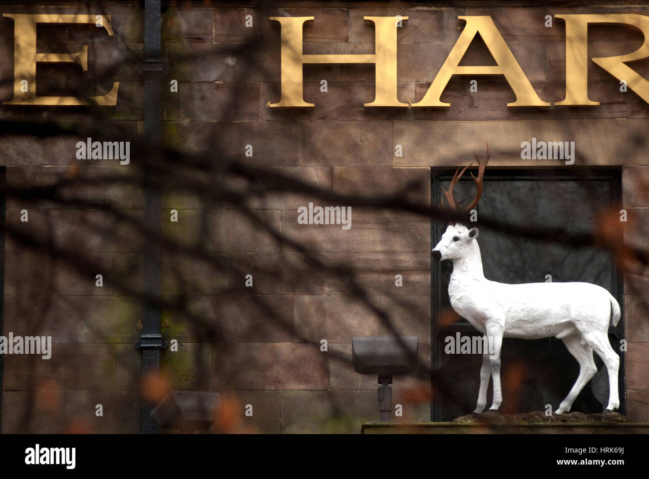 Der weiße Hirsch, Harrogate Stockfoto