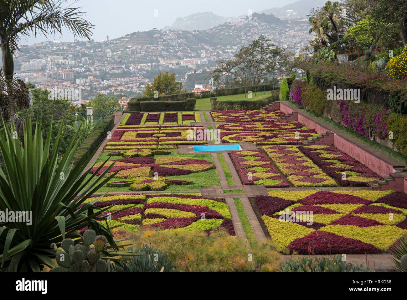 Jardim Botanico (Botanischer Garten), Funchal, Madeira Stockfotografie