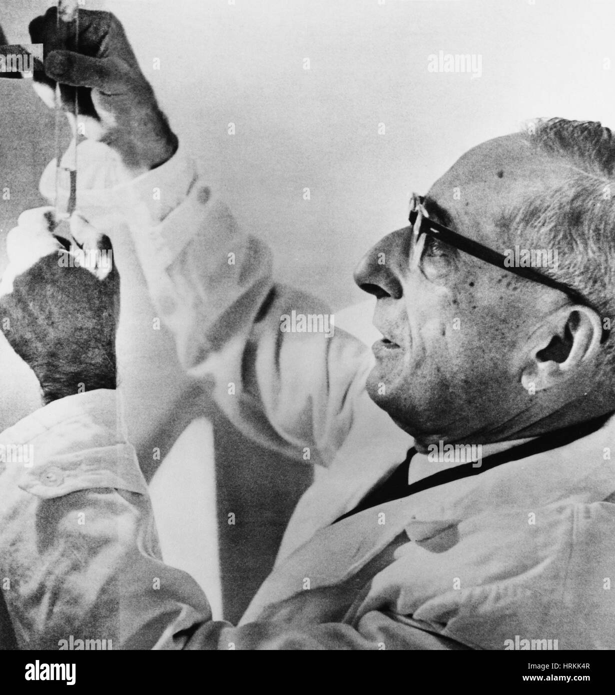 Giuseppe Brotzu, italienischer Pharmakologe Stockfoto