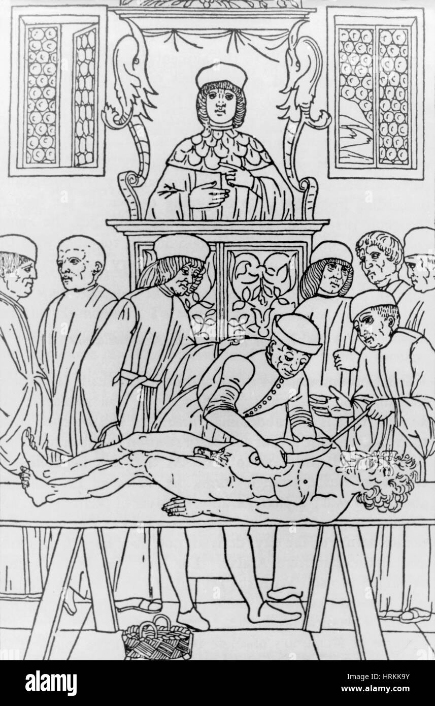 Dissektion der Kadaver, 1491 Stockfoto
