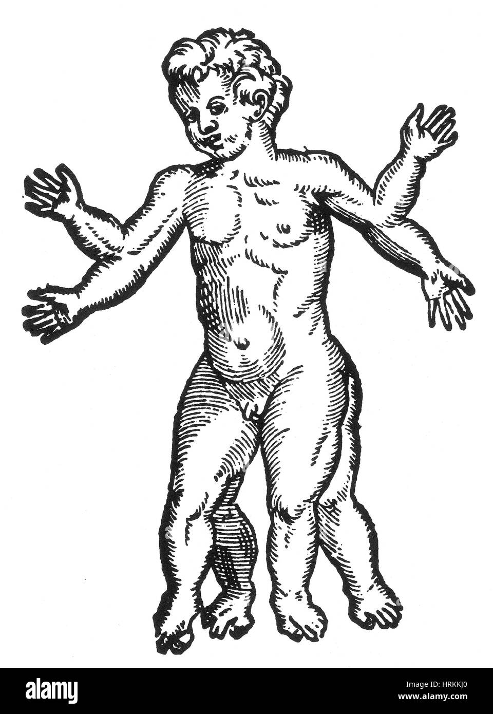 Polymelia, 16. Jahrhundert Stockfoto